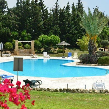 Limnaria Villas Sunny Garden Apartment Paphos Eksteriør billede
