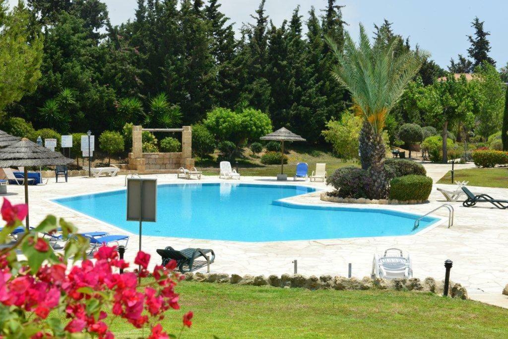 Limnaria Villas Sunny Garden Apartment Paphos Eksteriør billede