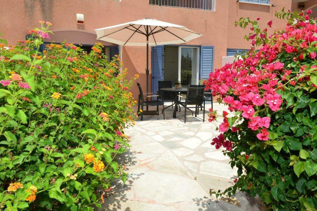 Limnaria Villas Sunny Garden Apartment Paphos Eksteriør billede
